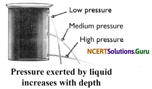 NCERT Solutions for Class 8 Science Chapter 11 Force and Pressure 5