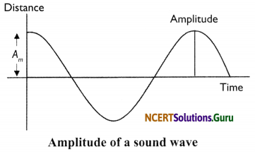 NCERT Solutions for Class 8 Science Chapter 13 Sound 11