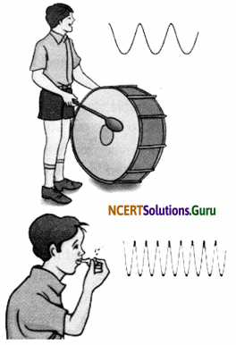 NCERT Solutions for Class 8 Science Chapter 13 Sound 14