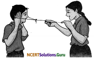NCERT Solutions for Class 8 Science Chapter 13 Sound 2