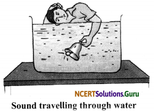 NCERT Solutions for Class 8 Science Chapter 13 Sound 6