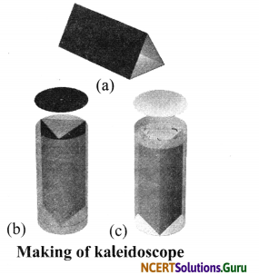 NCERT Solutions for Class 8 Science Chapter 16 Light 12