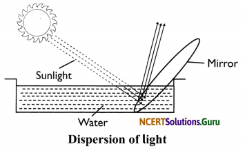 NCERT Solutions for Class 8 Science Chapter 16 Light 13