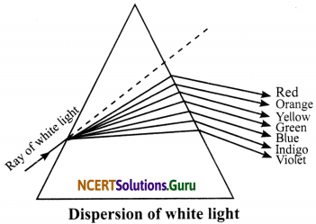 NCERT Solutions for Class 8 Science Chapter 16 Light 19