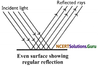 NCERT Solutions for Class 8 Science Chapter 16 Light 23