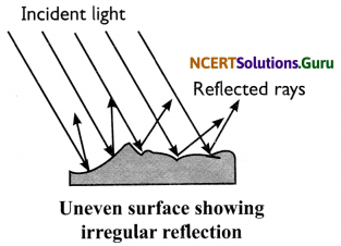 NCERT Solutions for Class 8 Science Chapter 16 Light 24