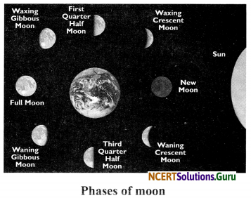 NCERT Solutions for Class 8 Science Chapter 17 Stars and The Solar System 25