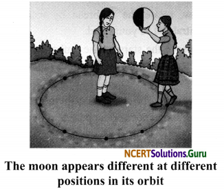 NCERT Solutions for Class 8 Science Chapter 17 Stars and The Solar System 8