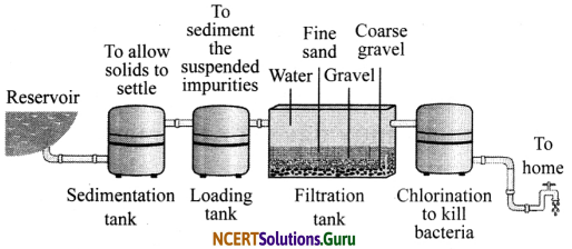 NCERT Solutions for Class 8 Science Chapter 18 Pollution of Air and Water 3