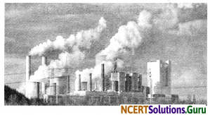 NCERT Solutions for Class 8 Science Chapter 18 Pollution of Air and Water 5