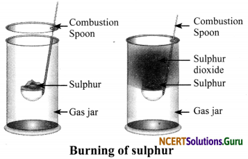 NCERT Solutions for Class 8 Science Chapter 4 Materials Metals and Non-Metals 2