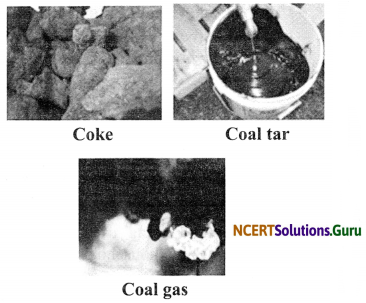 NCERT Solutions for Class 8 Science Chapter 5 Coal and Petroleum 2