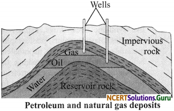 NCERT Solutions for Class 8 Science Chapter 5 Coal and Petroleum 3