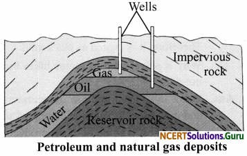 NCERT Solutions for Class 8 Science Chapter 5 Coal and Petroleum 5