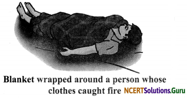 NCERT Solutions for Class 8 Science Chapter 6 Combustion and Flame 10