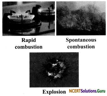 NCERT Solutions for Class 8 Science Chapter 6 Combustion and Flame 6