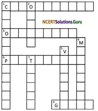 NCERT Solutions for Class 8 Science Chapter 8 Cell – Structure and Functions 4