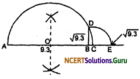 NCERT Solutions for Class 9 Maths Chapter 1 Number Systems Ex 1.5 Q4