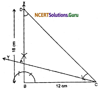NCERT Solutions for Class 9 Maths Chapter 11 Constructions Ex 11.2 Q5