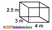NCERT Solutions for Class 9 Maths Chapter 13 Surface Areas and Volumes Ex 13.1 Q8