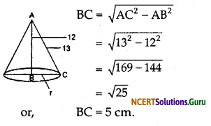 NCERT Solutions for Class 9 Maths Chapter 13 Surface Areas and Volumes Ex 13.7 Q2.1