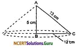 NCERT Solutions for Class 9 Maths Chapter 13 Surface Areas and Volumes Ex 13.7 Q8