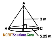 NCERT Solutions for Class 9 Maths Chapter 13 Surface Areas and Volumes Ex 13.7 Q9