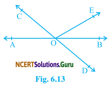 NCERT Solutions for Class 9 Maths Chapter 6 Lines and Angles Ex 6.1 Q1