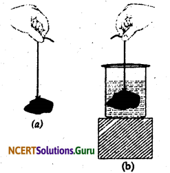 NCERT Solutions for Class 9 Science Chapter 10 Gravitation 8