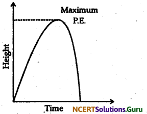 NCERT Solutions for Class 9 Science Chapter 11 Work and Energy 9