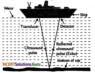 NCERT Solutions for Class 9 Science Chapter 12 Sound 3