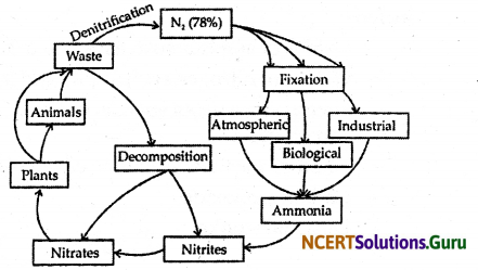 NCERT Solutions for Class 9 Science Chapter 14 Natural Resources 2