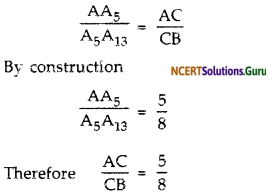 NCERT Solutions for Class 10 Maths Chapter 11 Constructions Ex 11.1 2