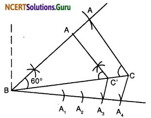 NCERT Solutions for Class 10 Maths Chapter 11 Constructions Ex 11.1 6