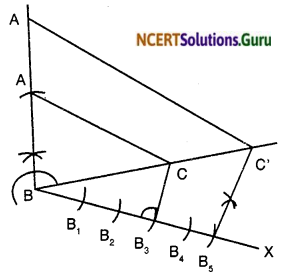 NCERT Solutions for Class 10 Maths Chapter 11 Constructions Ex 11.1 8
