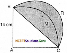 NCERT Solutions for Class 10 Maths Chapter 12 Areas Related to Circles Ex 12.3 24