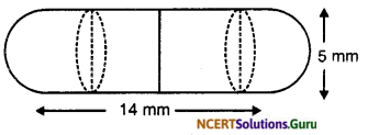 NCERT Solutions for Class 10 Maths Chapter 13 Surface Areas and Volumes Ex 13.1 8