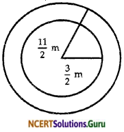 NCERT Solutions for Class 10 Maths Chapter 13 Surface Areas and Volumes Ex 13.3 6