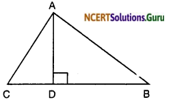 NCERT Solutions for Class 10 Maths Chapter 6 Triangles Ex 6.5 12