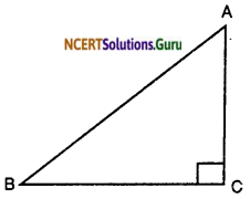 NCERT Solutions for Class 10 Maths Chapter 6 Triangles Ex 6.5 3