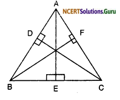 NCERT Solutions for Class 10 Maths Chapter 6 Triangles Ex 6.5 4