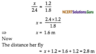NCERT Solutions for Class 10 Maths Chapter 6 Triangles Ex 6.6 16