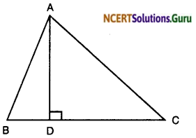 NCERT Solutions for Class 10 Maths Chapter 6 Triangles Ex 6.6 5