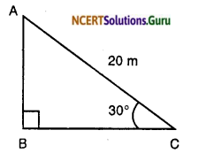 NCERT Solutions for Class 10 Maths Chapter 9 Some Applications of Trigonometry Ex 9.1 1