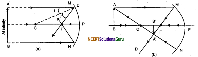 NCERT Solutions for Class 10 Science Chapter 10 Light Reflection and Refraction 22