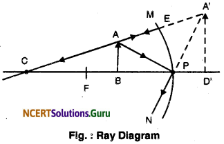 NCERT Solutions for Class 10 Science Chapter 10 Light Reflection and Refraction 8