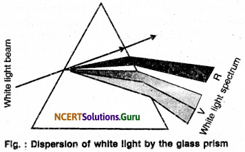 NCERT Solutions for Class 10 Science Chapter 11 The Human Eye and the Colourful World 11