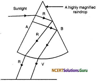 NCERT Solutions for Class 10 Science Chapter 11 The Human Eye and the Colourful World 13