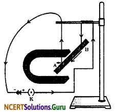 NCERT Solutions for Class 10 Science Chapter 13 Magnetic Effects of Electric Current 16