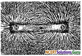 NCERT Solutions for Class 10 Science Chapter 13 Magnetic Effects of Electric Current 7
